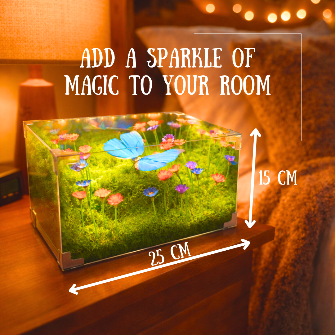 Butterfly Motion Cube