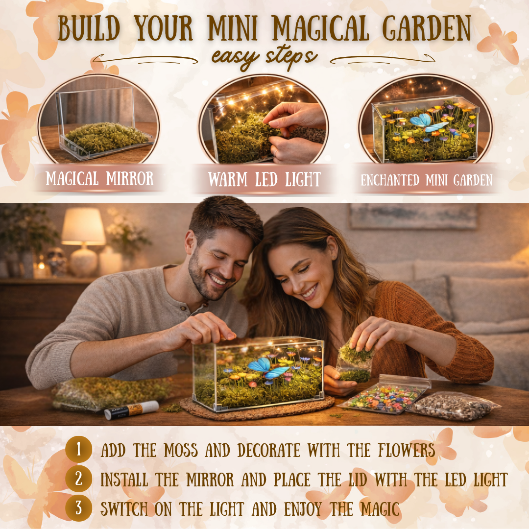 Butterfly Motion Cube